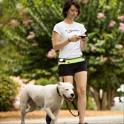 Hands Free Pet Dog Leash