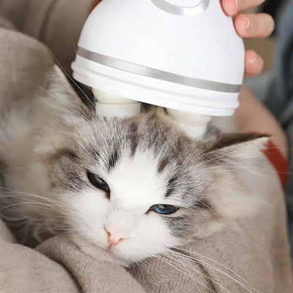 Cat Massager