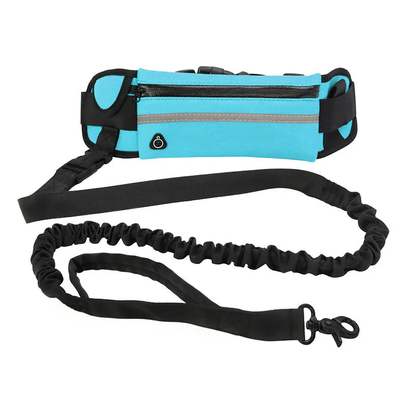 Hands Free Pet Dog Leash