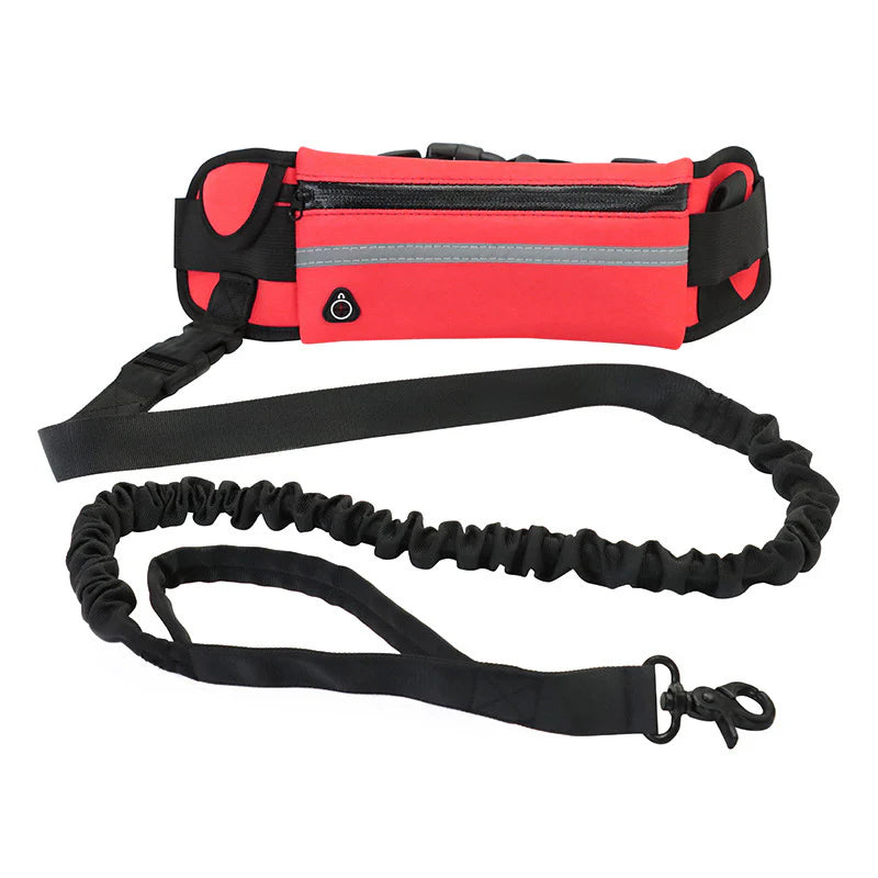 Hands Free Pet Dog Leash