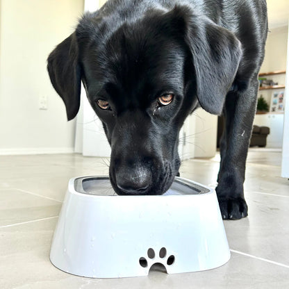 Fluffy Tail™ Zero Splash Dog Water Bowl